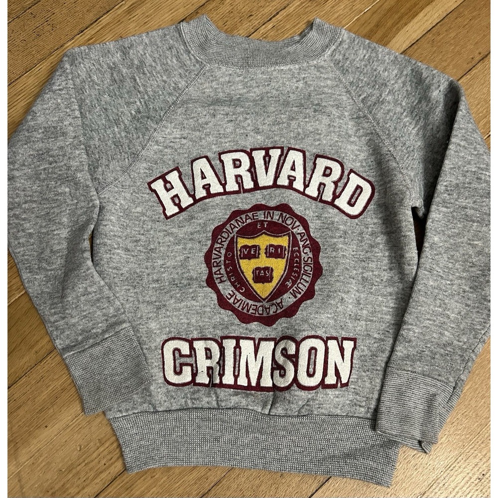 Vintage 2003 Harvard University Sweatshirt Gray Size Youth Small
